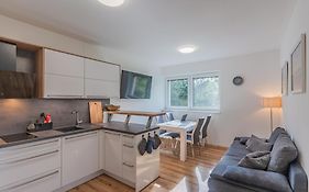 Apartmán Černá v Pošumaví